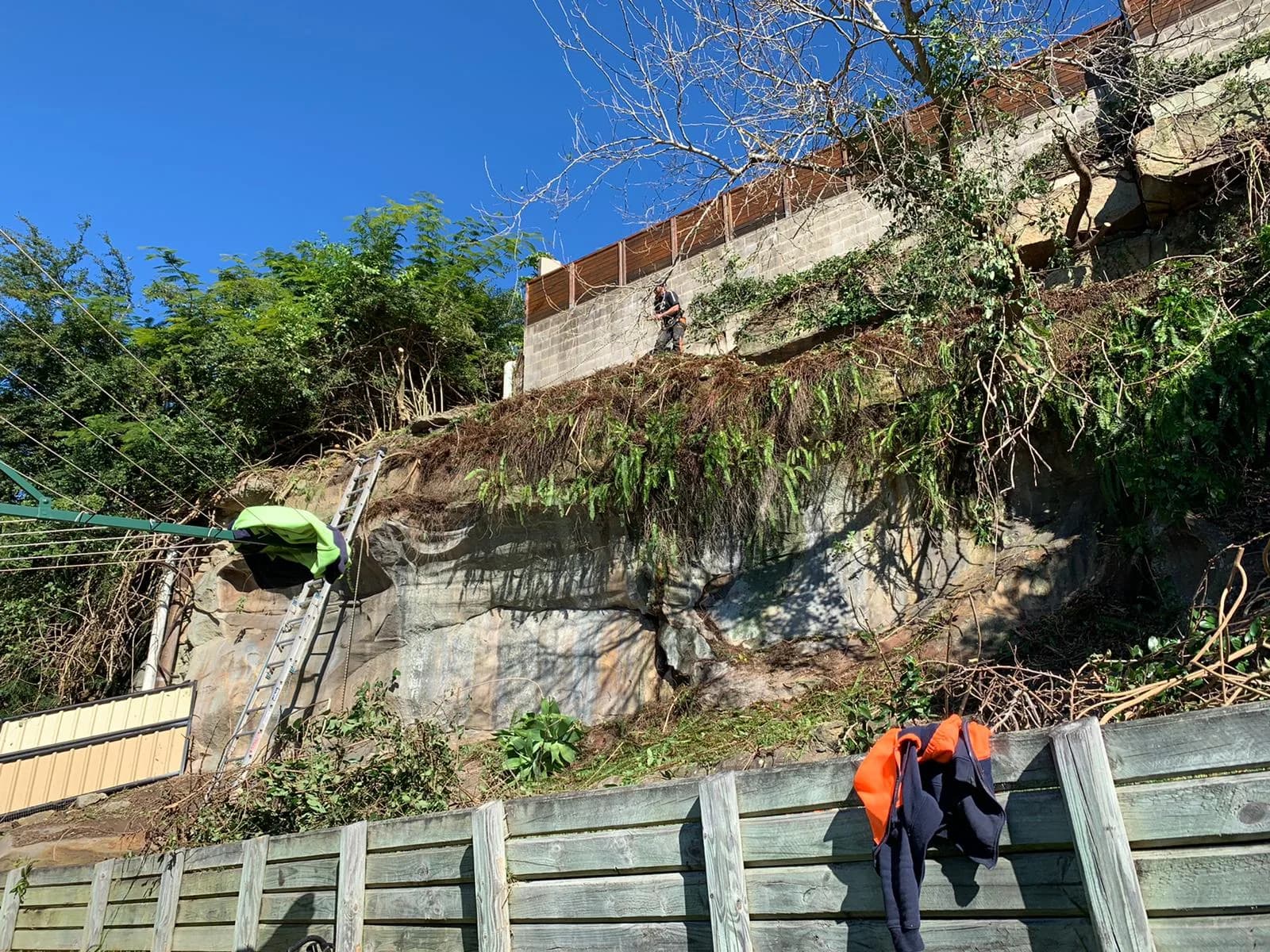 Clearing under way on a steep sandstone embankment at a Beacon Hill property, with a ladder set against the rock