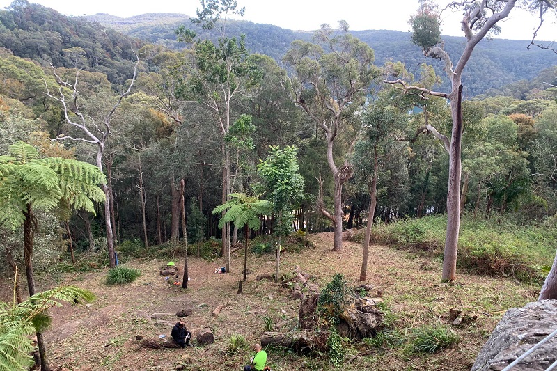 Land Clearing Mona Vale