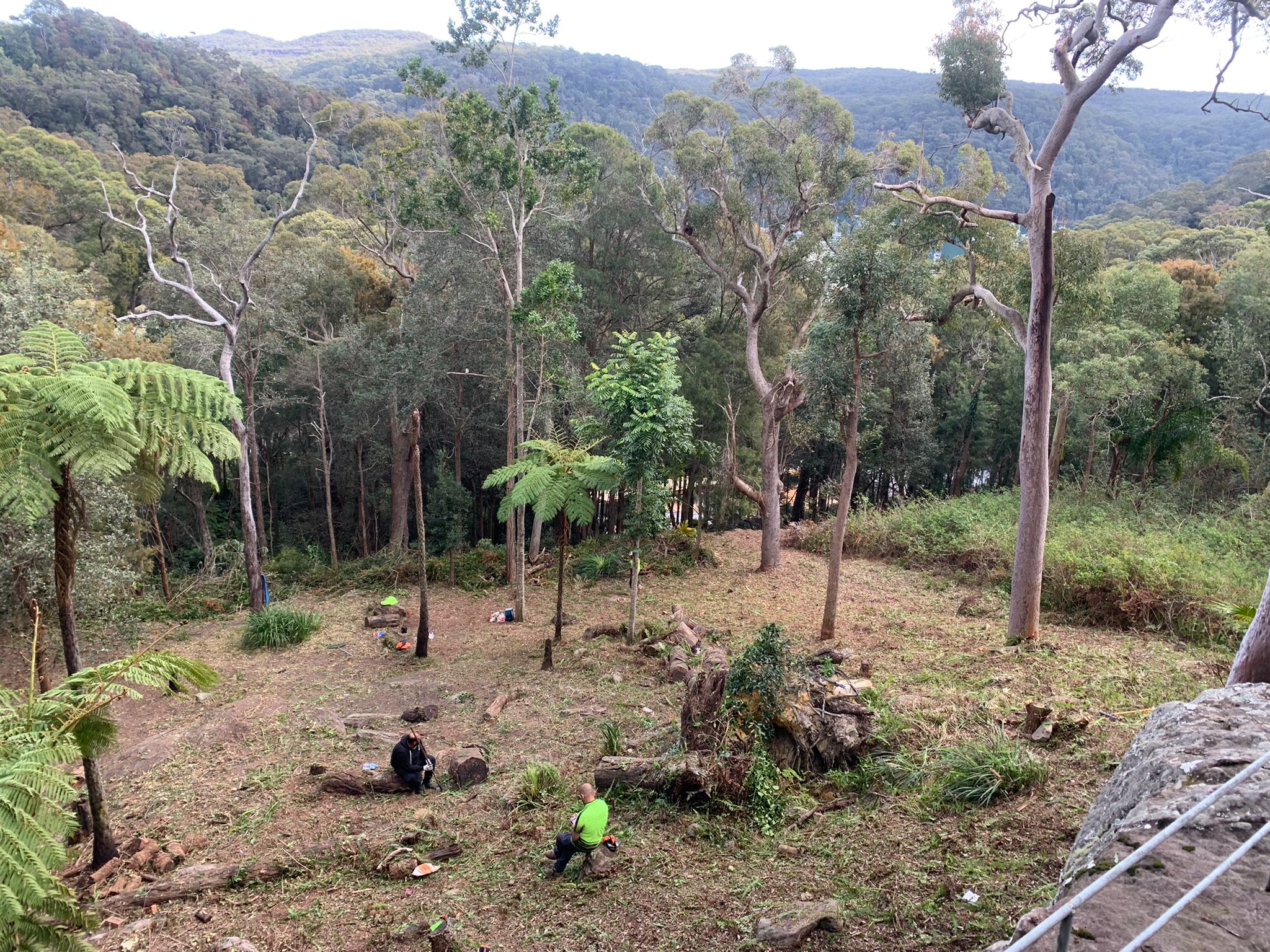 Bayview Land Clearing 2