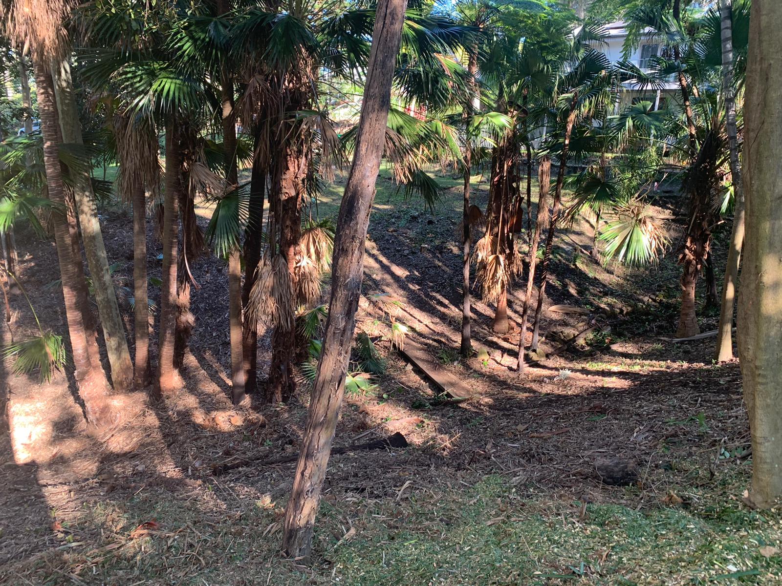 Bayview Land Clearing