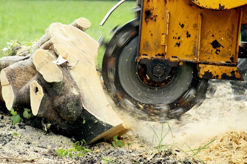 Stump Grinding Duffys Forest